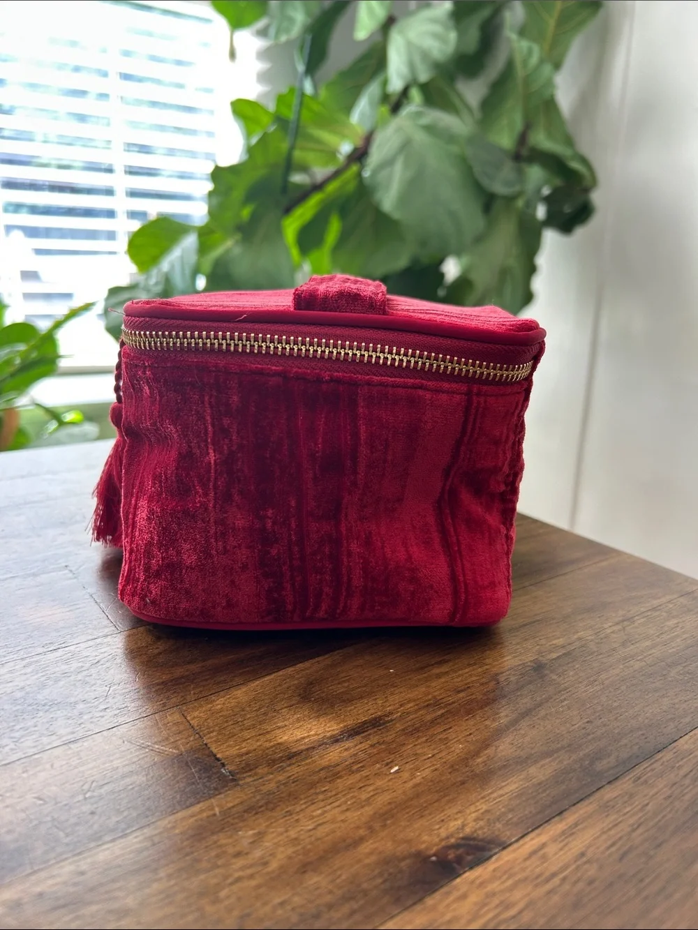 Sézane Mini Vanity Red Crushed Velvet Zip Cosmetic Makeup Case Tassel Zipper